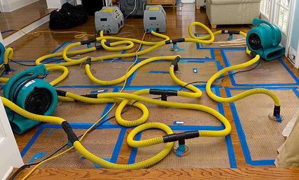 Professional Water Damage Repair technician working in Ridgefield, CT